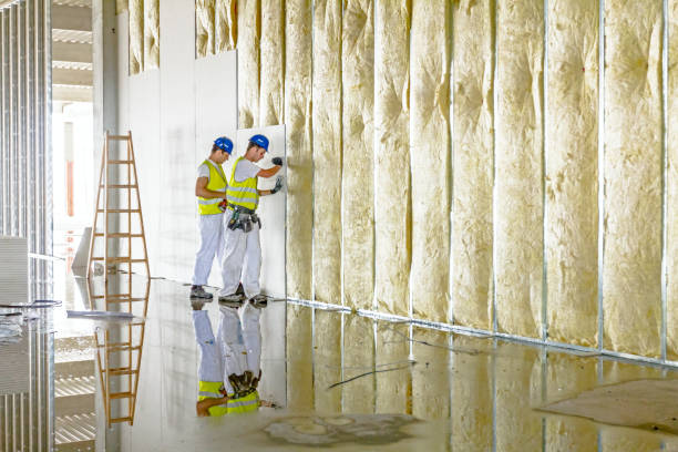Best Home Insulation Services  in Newport, RI